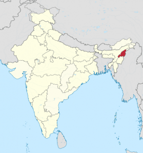 Billede af Indien. Nagaland er markeret med rødt.