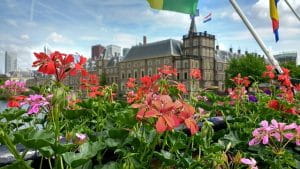 Den hollandske parlamentsbygning, Binnenhof, med blomster i forgrunden.